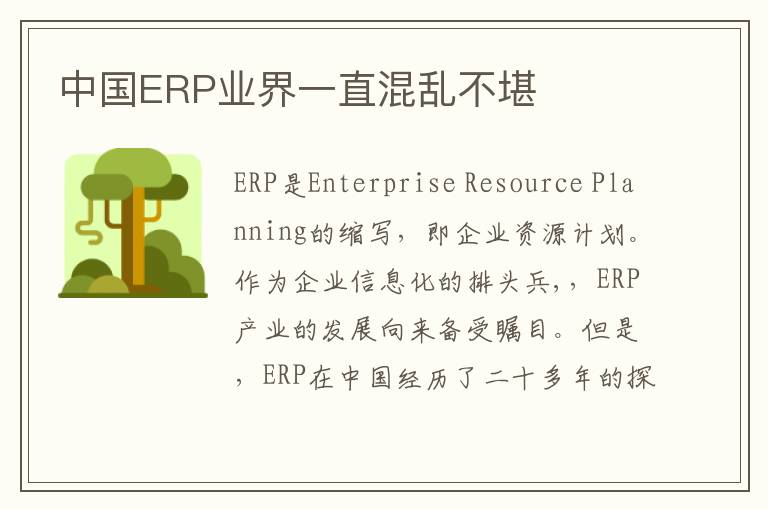 中国ERP业界一直混乱不堪