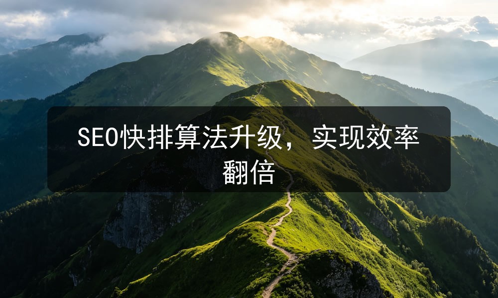 SEO快排算法升级，实现效率翻倍