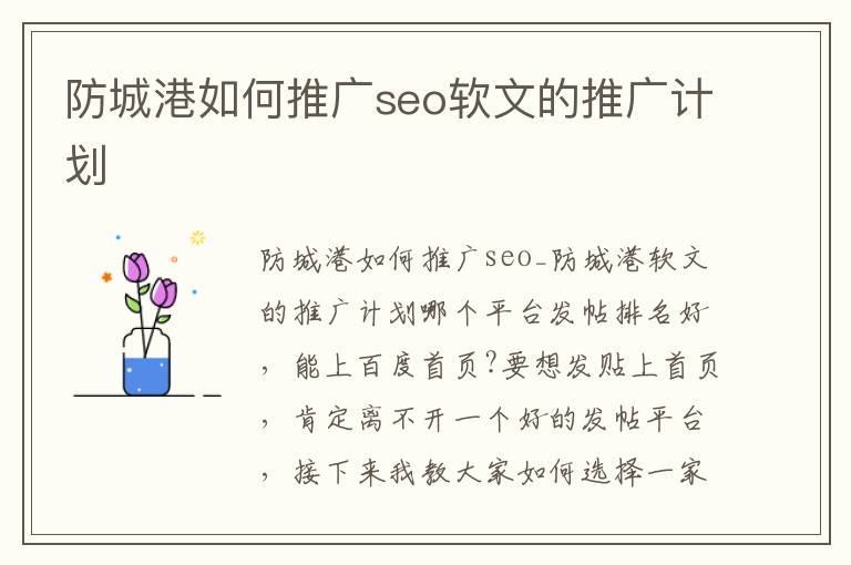 防城港如何推广seo软文的推广计划