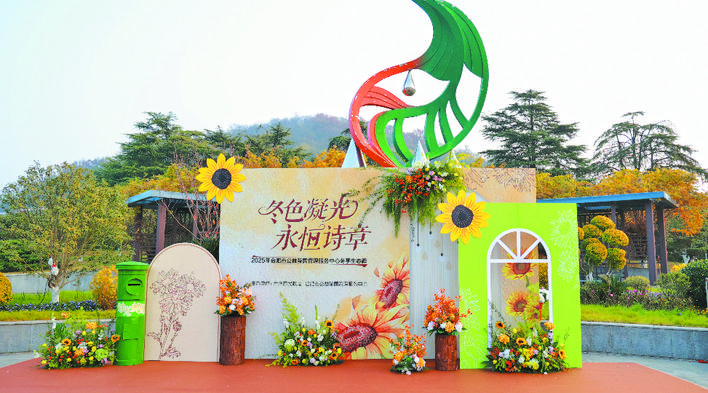 合肥冬季生态葬 203位逝者回归自然图片